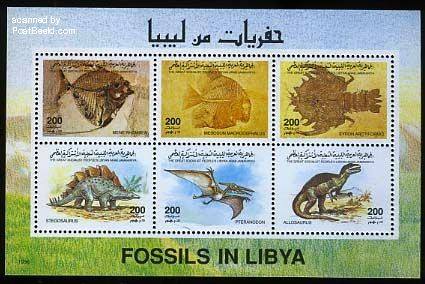 fósiles de libya.jpg