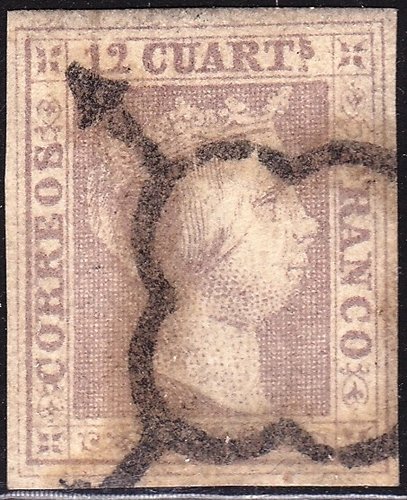 1850 2 araña negra.jpg