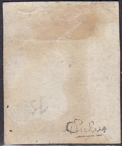1850 2 araña negraa.jpg