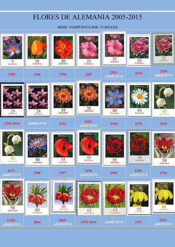 flores-alemana1.jpg