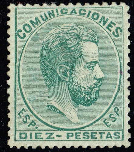 amadeo 1069 x 1213.jpg