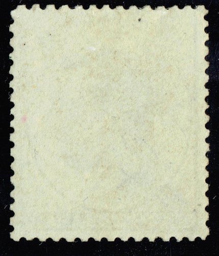 Trasera 1079 x 1257.jpg
