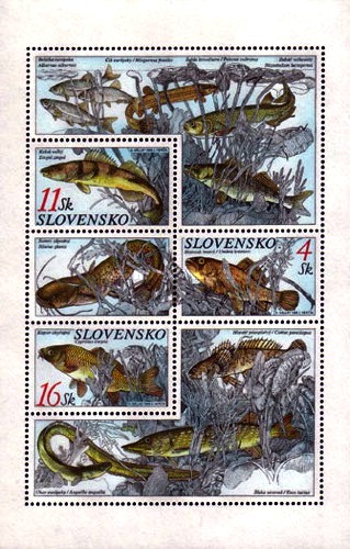 peces.jpg