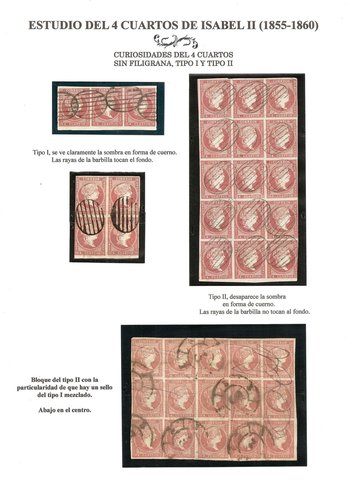 n 28 curiosidades - copia.jpg
