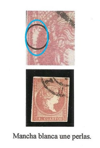 CIRCULAO - copia.jpg