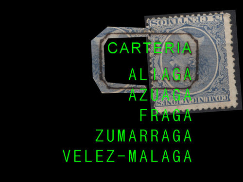 carteria.jpg
