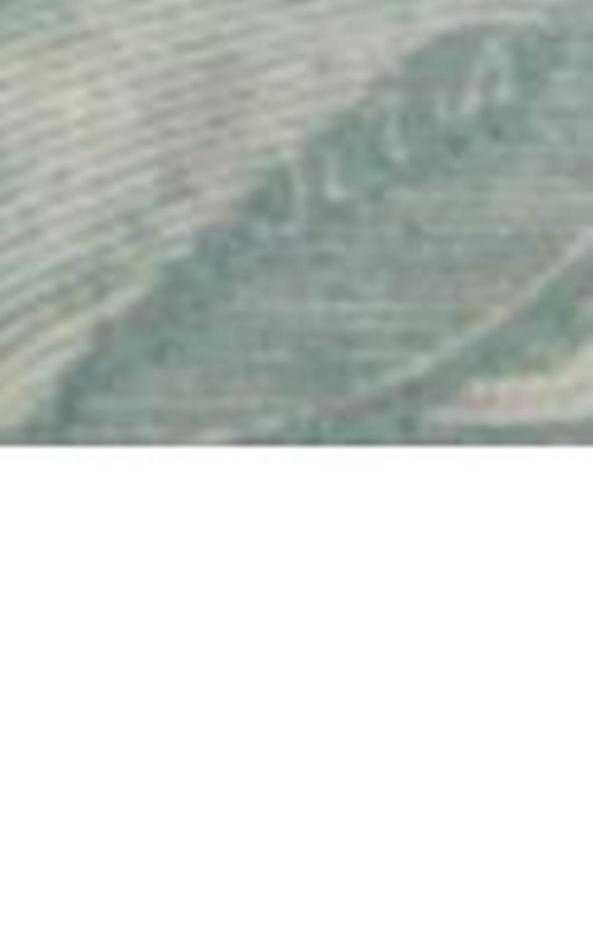 Detalle del cuello
