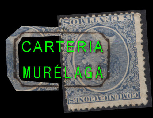 carteria3.jpg