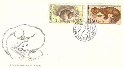 ARDILLA 03.jpg