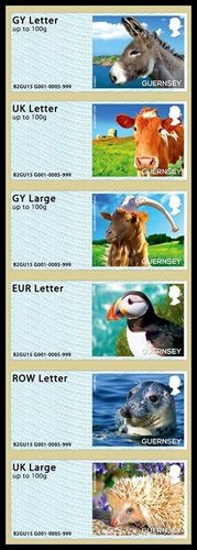 atm de fauna.jpg