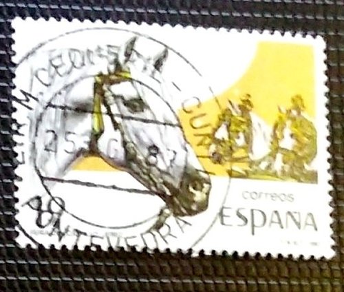 CEQUERIL CUNTIS.jpg