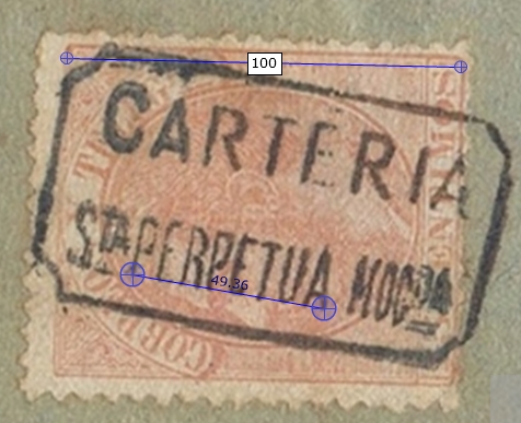 perpetua 1.jpg