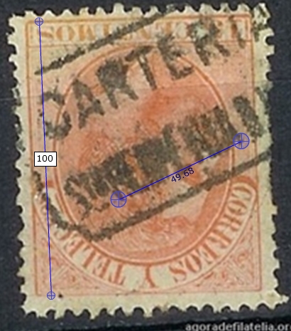 perpetua 3.jpg