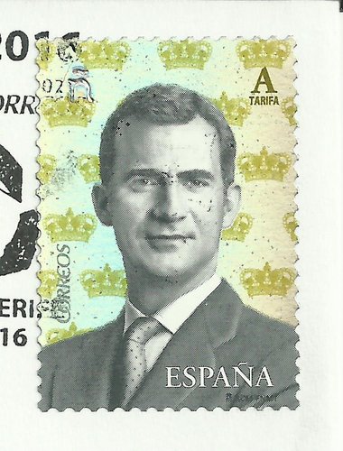 ni pupa.jpg