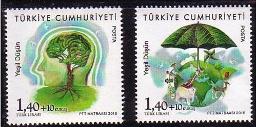896_001.jpg