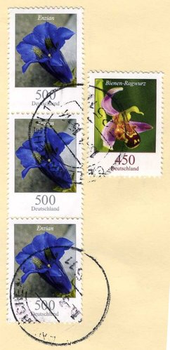 FRONTAL VALORES ALTOS FLORES ALEMANIA.jpg