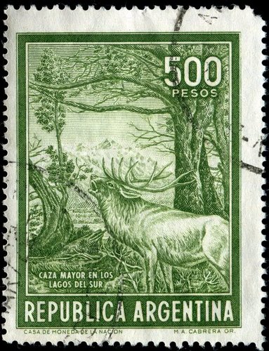 CabreraArgentina829RedDeerInForest1966.jpg