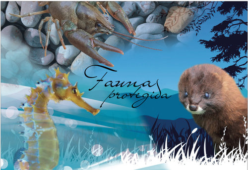 2016-07-18. Fauna Protegida. Tarjeta entero postal. Boceto. Reverso. Baja.jpg