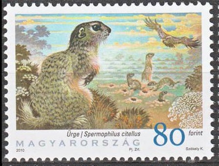 ARD. HUNGRIA 2010.jpg
