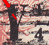 detalle.jpg
