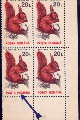 img004.jpg