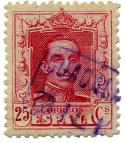 GU RILLO 2-3.jpg