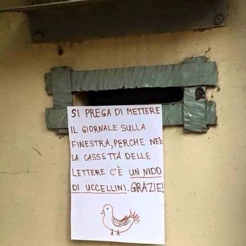 respeto vida.jpg