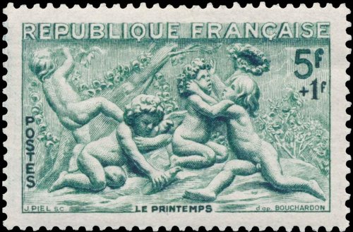 p1.jpg
