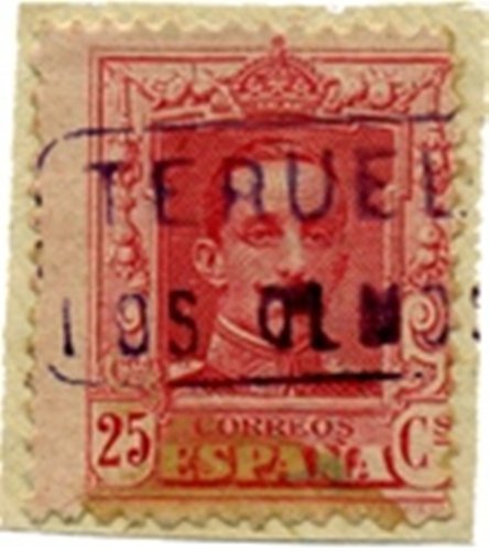 TE LOS OLMOS 2-2.jpg