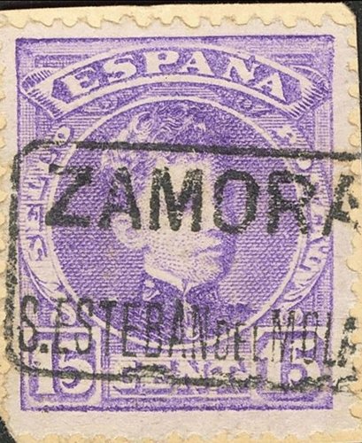 carteria a estudiar 2.jpg