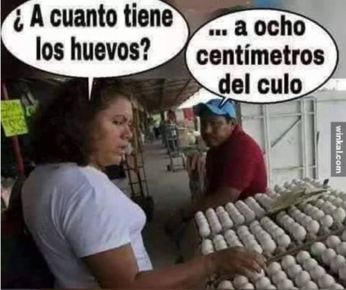los huevos.jpg