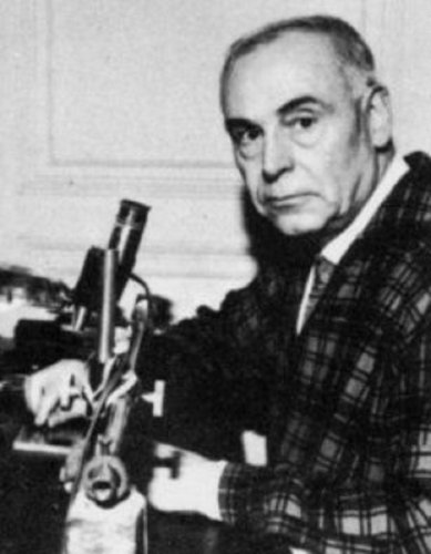 Gandon1.jpg
