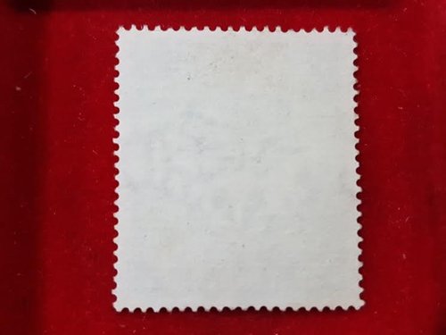 r738.jpg