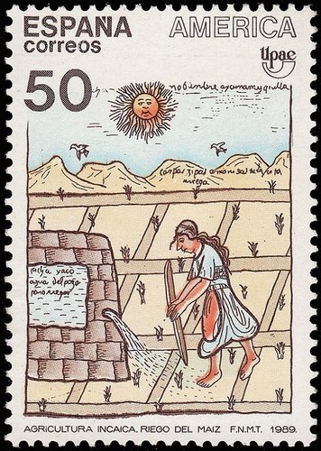 3035id.jpg