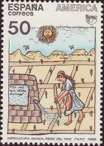 3035.jpg