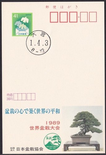 JAPON II.jpg